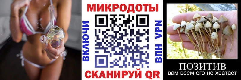 Галлюциногенные грибы Psilocybine cubensis  Купить закладки  Горняк 